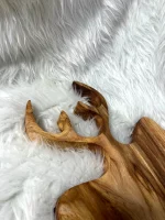 تخته سرو شاخ گوزنی چوب ملچ - Image 4